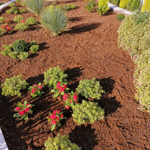 Paisajismo Gran Alacant construccion